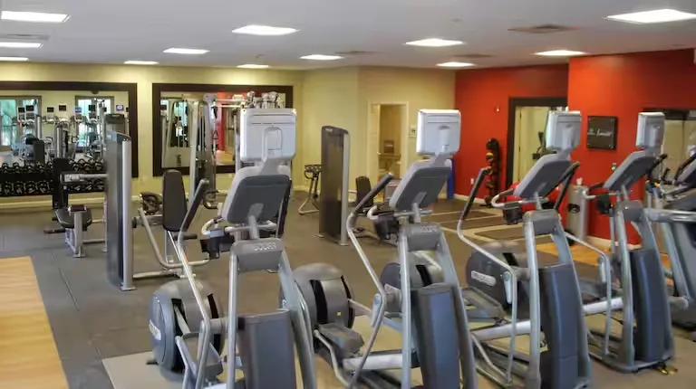 Hilton Grand Vacations Club Parc Soleil Orlando