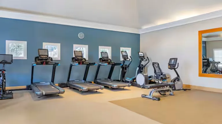 Hilton Grand Vacations Club SeaWorld Orlando (Discovery)